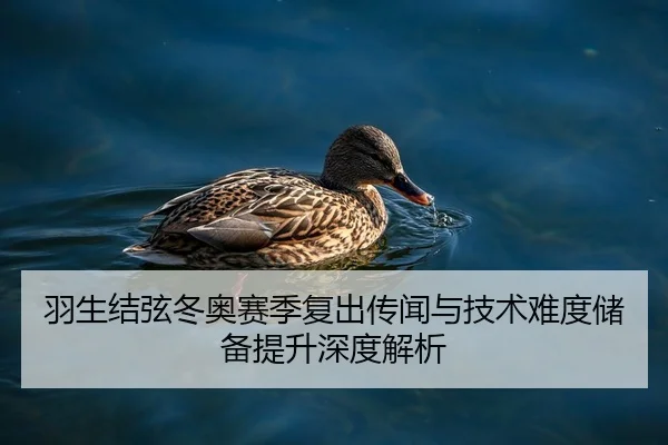 羽生结弦冬奥赛季复出传闻与技术难度储备提升深度解析