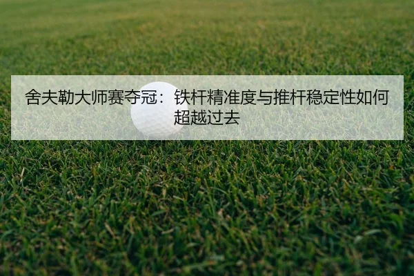 she-fu-lei-da-shi-sai-duo-guan-tie-gan-jing-zhun-du-yu-tui-gan-wen-ding-xing-ru-he-chao-yue-guo-qu-2-387.jpg