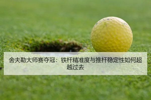 she-fu-lei-da-shi-sai-duo-guan-tie-gan-jing-zhun-du-yu-tui-gan-wen-ding-xing-ru-he-chao-yue-guo-qu-3-591.jpg